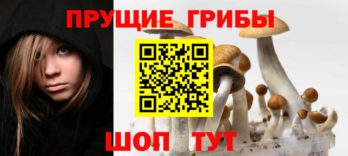 Медногорск  Галлюциногенные грибы ЛСД  Вход с VPN 